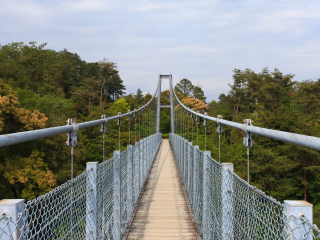 卡皮拉诺吊桥公园