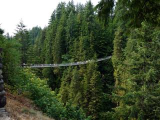 卡皮拉诺吊桥公园