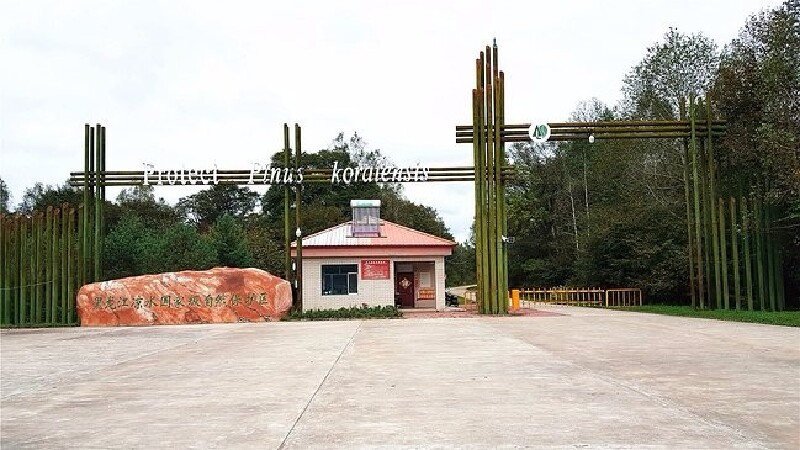 伊春带岭,国内旅游终极冷门之地.