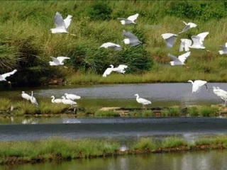 广东罗浮山风景名胜区