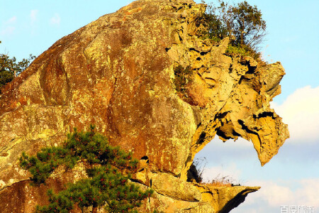  温州-丽水街-狮子岩-石桅岩-岭上人家烤全羊-楠溪江农家乐3日游>含一
