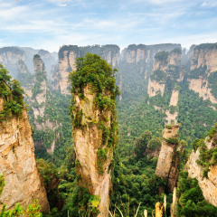 Beautiful view of natural quartz sandstone pillar the Avatar Hallelujah Mountain among green woods and rocks in the Tianzi Mountains, the Zhangjiajie National Forest Park, Hunan Province, China.