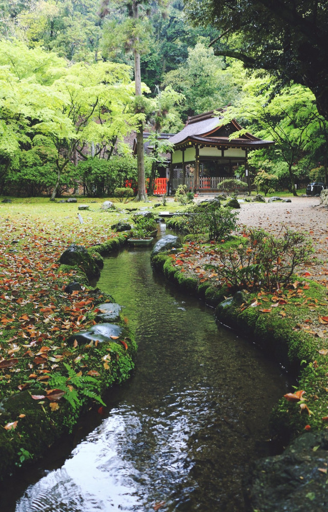 关西 繁华旧梦与恬淡今夕 下 日本 攻略游记 途牛