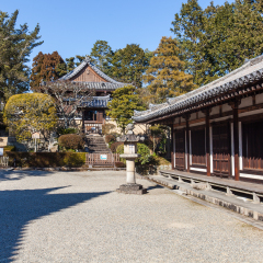 唐招提寺2
