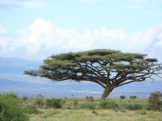 安博塞利国家公园