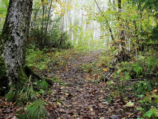五营国家森林公园