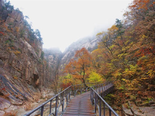 雪岳山国立公园