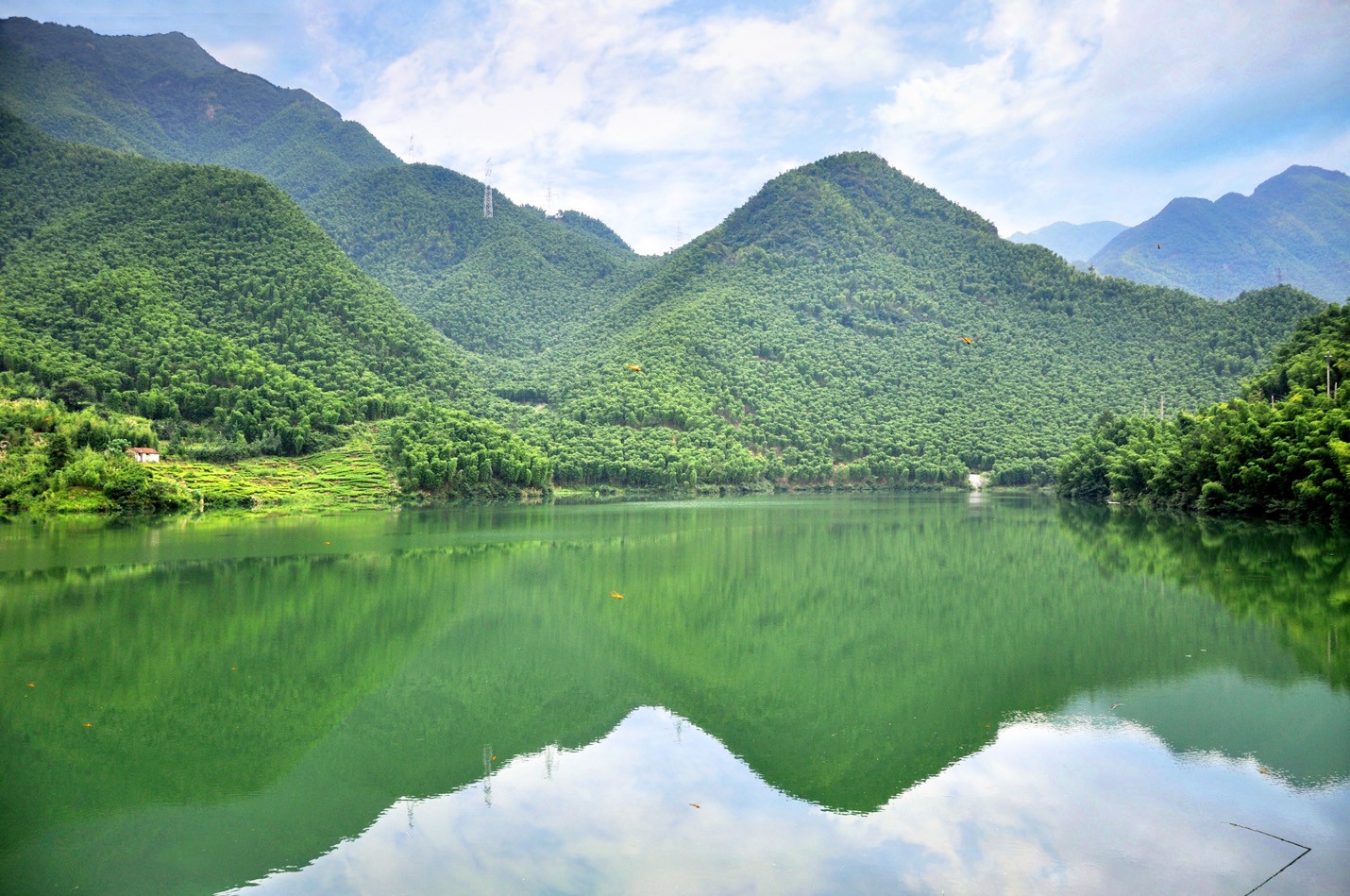 青山翠竹,风景如画