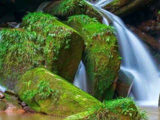 雅安碧峰峡自然风景区