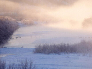 钏路湿原国立公园