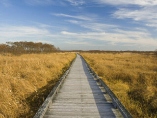 钏路湿原国立公园