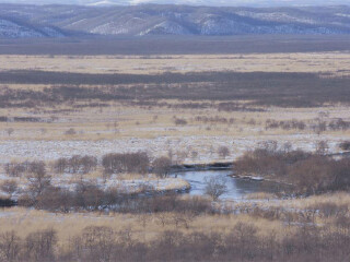 钏路湿原国立公园
