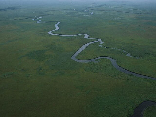 钏路湿原国立公园