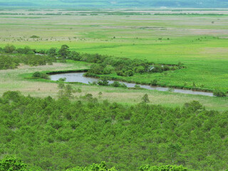钏路湿原国立公园
