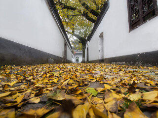 镇江焦山风景区