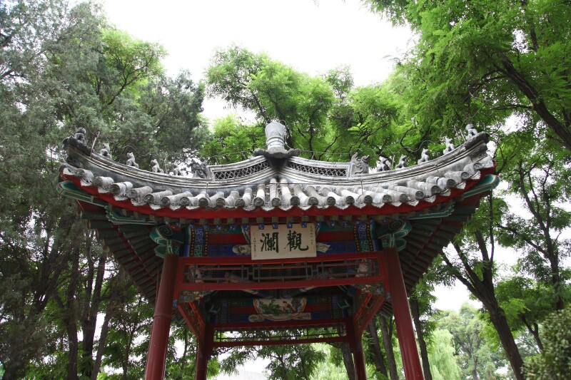 夏游北方小西湖保定古莲花池