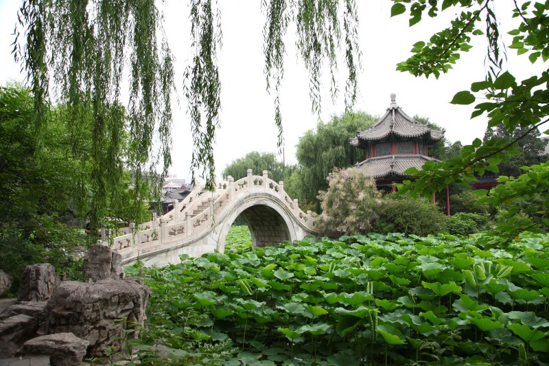 夏游北方小西湖保定古莲花池