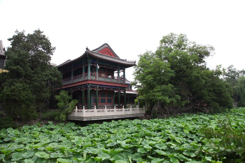 夏游北方小西湖保定古莲花池