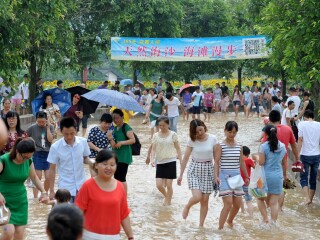 新津花舞人间景区