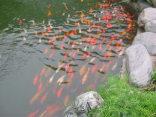 周公山天府温泉