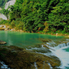 景点模块 