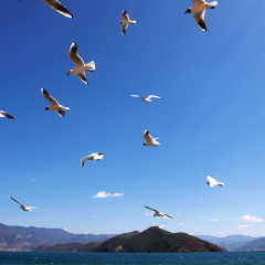 泸沽湖 (1)