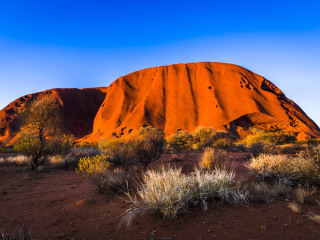 艾利斯斯普林斯.D