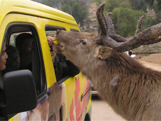 乐和乐都主题公园