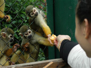 乐和乐都主题公园