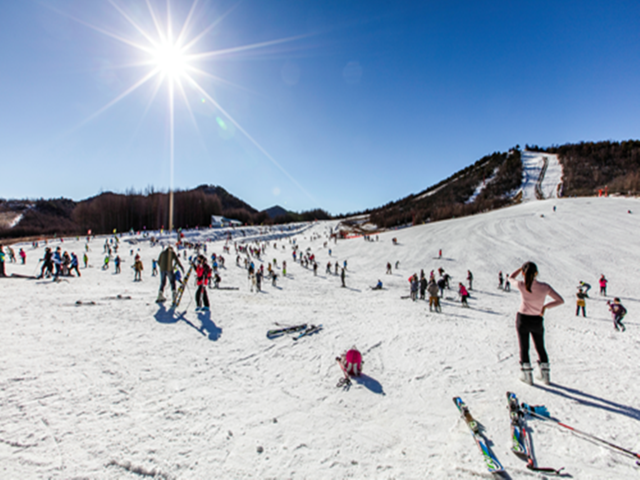  宜昌-神農架動車2日遊>神農架國際滑雪場,走進高山雪原冰雪世界,提供