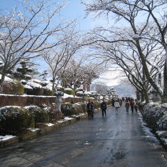 平和公园 雪景3