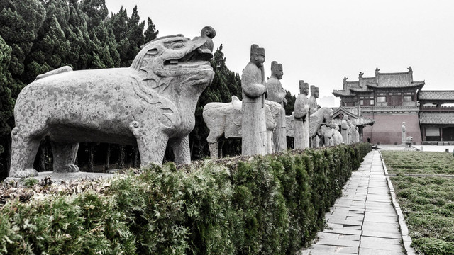 【途牛首發】貓貓遊河南 自駕北宋皇陵 包拯杜甫兩墓 石窟寺