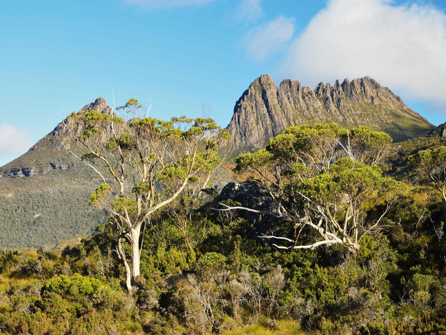 国家森林公园(cradle mountain national park)位于澳大利亚塔斯马尼