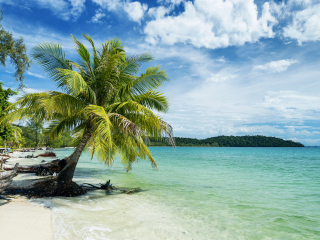 西哈努克港码头区