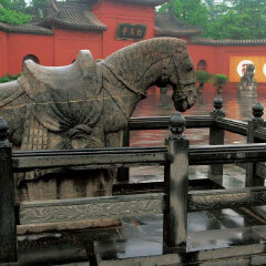白马寺3