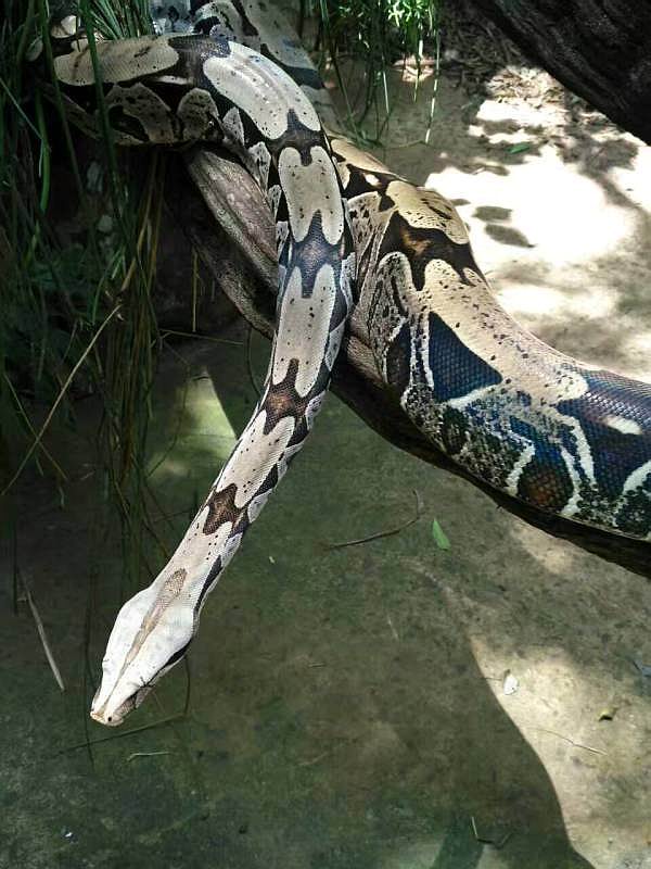 【南美四国行-上】巴西