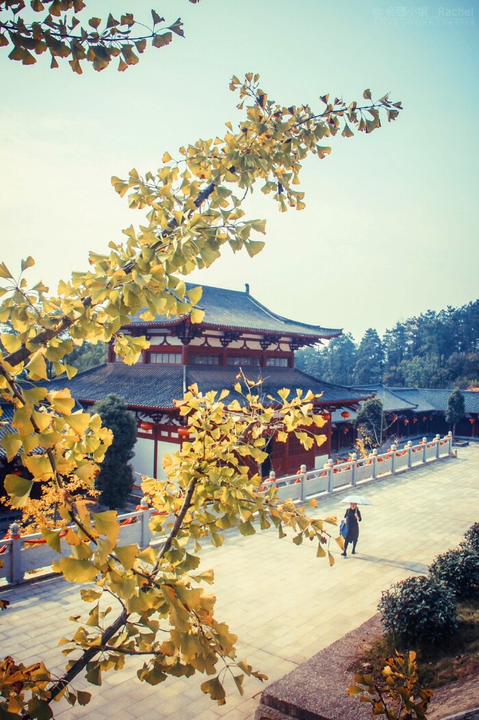 【首发】约泡咸宁:五星蜜月之旅