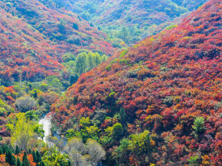 济南红叶谷