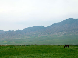 山丹军马场