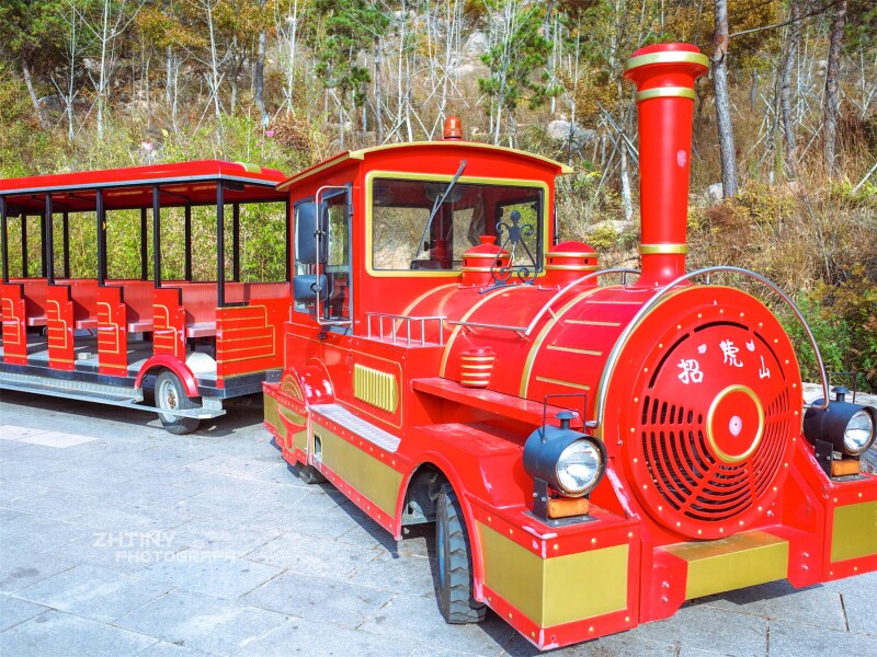 我们准备上山啦,坐的是这种红彤彤的小火车
