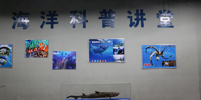 产品图12