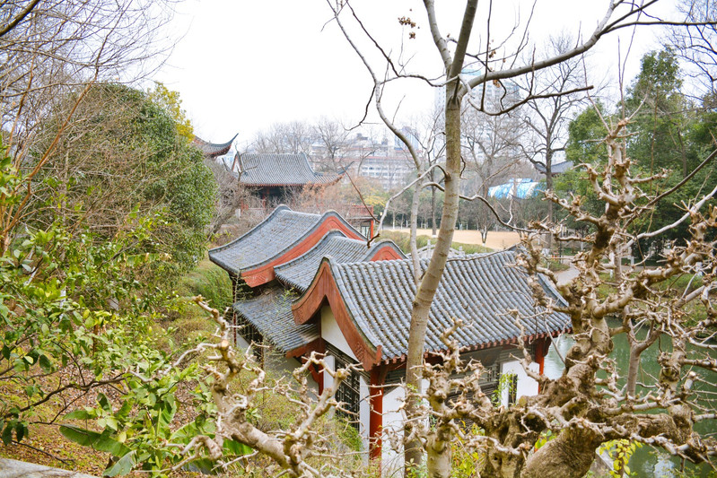 搶紅包#荊門遊01|龍泉公園,荊門市內老牌休閒場所