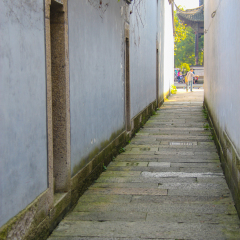 鲁镇