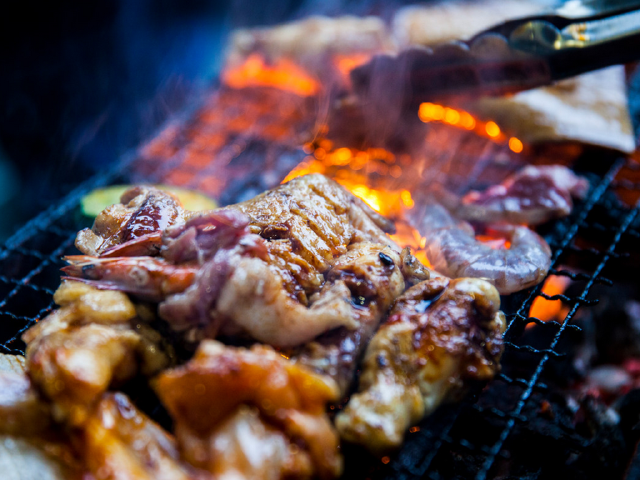 私家营地bbq 特色满族宴 草原烟花篝火晚会 报名即享千元大礼包