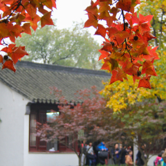 天平山