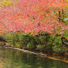 天平山