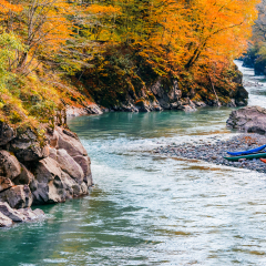 Beautiful views of the river in the autumn forest and canoe on the shore