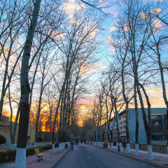 南开大学