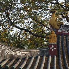 光孝寺