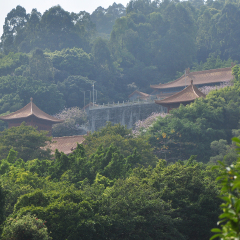 南沙天后宫